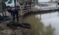 FLAŞ! Reyhanlı'da Sulama Kanalında Ceset